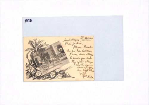 BERMUDA Postcard PPC Undivided Back CART Vignette 1904 HORSES {samwells}YJ131 - Picture 11 of 12