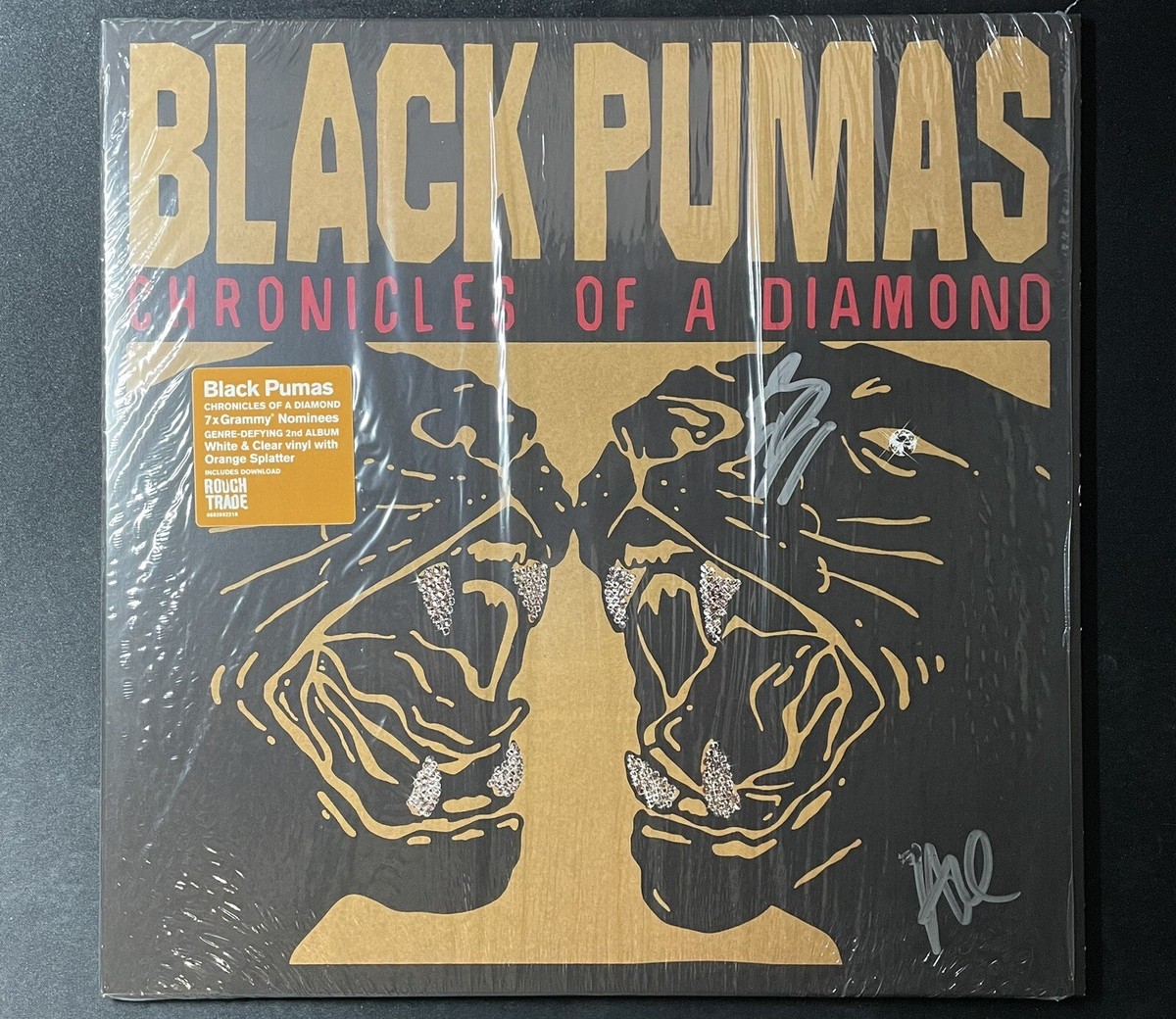 Black Pumas - Chronicles of a Diamond - SIGNED Rough Trade