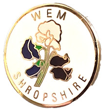 Badge petite épingle Wem Town Shropshire