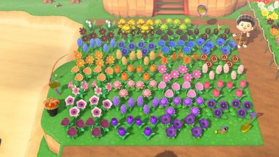 Animal Crossing New Horizons 2 of every Rare Hybrid Flowers 60 in total