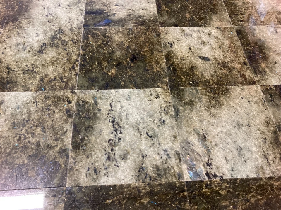 Remodelación de ducha de baño de granito verde coral marino 12x12 (10 pies cuadrados) T-99 Foto 3 de 4