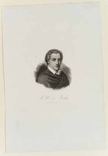 F. WEBER (1813-1882), Porträt J. W. von Goethe (1749-1832), Sst. Romantik - Bild 2 von 4