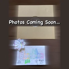 DOWN SOUTH COMIN' UP SAMPLER Raheem The Dream RTD Record 4549 1995 Bass E-HH VG+