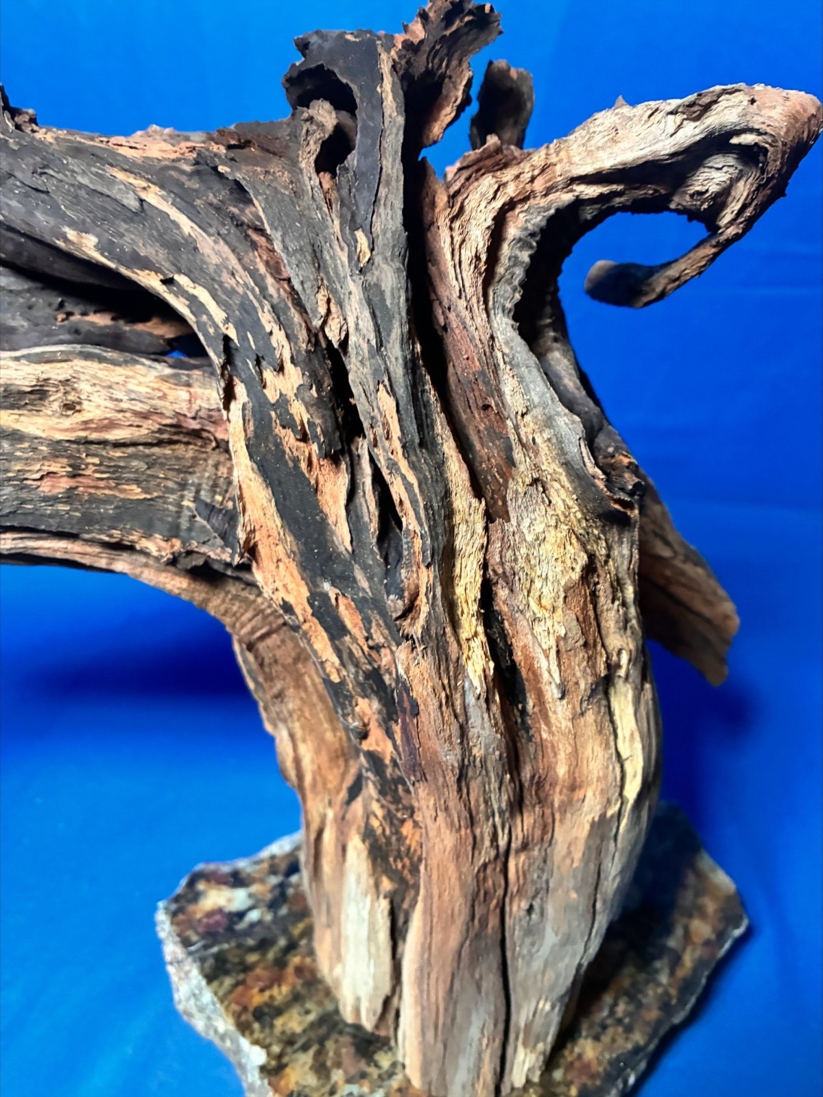 Aquarium Fish Tank Terrarium Aquascape  Manzanita Root Granite Base