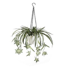 Faux Silk Hanging Spider Plant Basket Pot Whi...