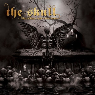 The Skull The Endless Road Turns Dark Music CDs New