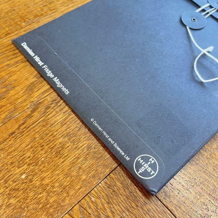 Damien Hirst art Magnet Set Vintage Collector's items | eBay