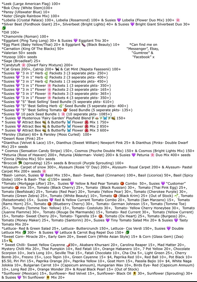 Catnip 2800+ Seeds (Nepeta) Instructions Included x - Image 3 of 4