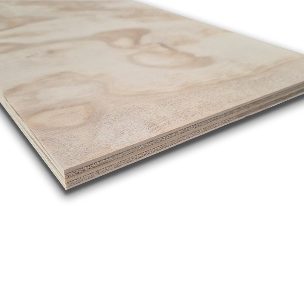 Pannello Multistrato marino fenolico in legno di pino, spessore 15 mm