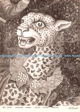D085373 Delos. Mosaico. Pantera. Minosa