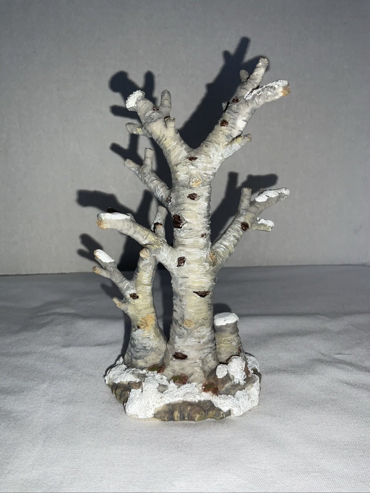 Picture 5 of 8