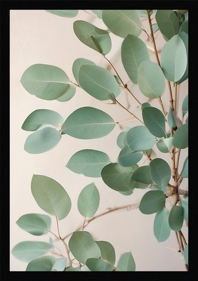 Serene Eucalyptus Branches Framed Wall Art Poster Canvas Print Picture