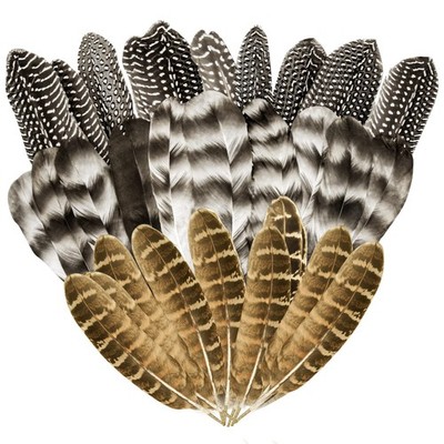 30Pcs Natural Turkey Feathers, 5.3-7 Inch Craft Feathers Pheasant for Grey 