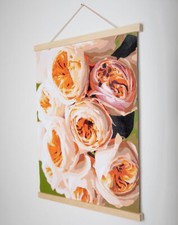 Pink Picasso Hanging Solution PBN HANG