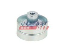 Spannrolle Keilrippenriemen FAST FT44666 für FORD RANGER TKE TRANSIT V363 FED