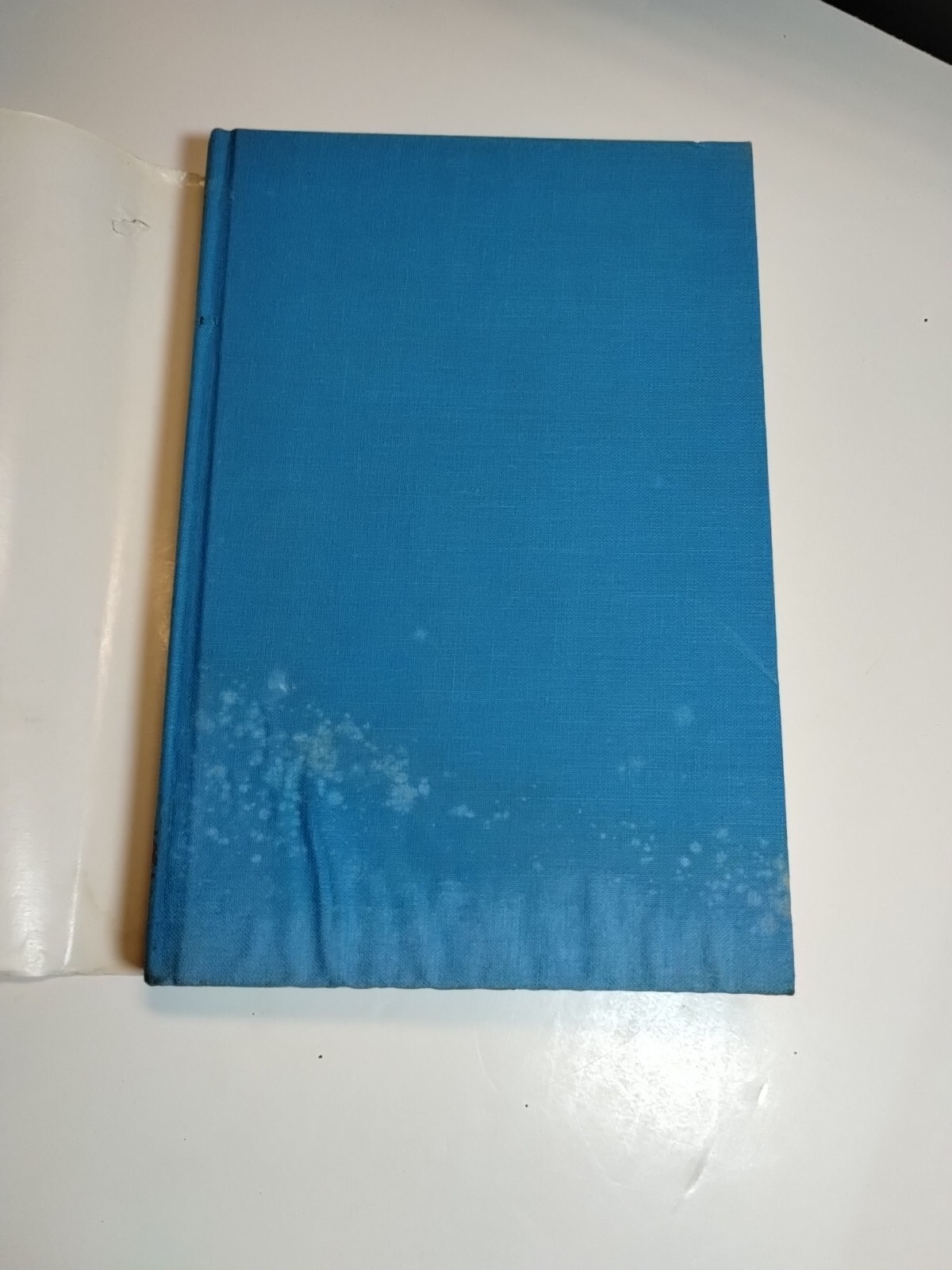 Picture 3 of 13