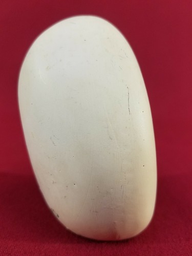 Ha De Works Macaw Parrot Etching In Faux Rock Carved Figurine Beautiful Detail - Picture 5 of 12