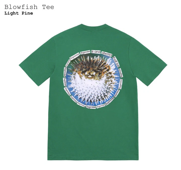 Tee shirt vert Supreme Blowfish XXL