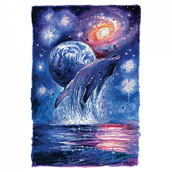 ALTRA T Shirt dalla S alla 2XL 3XL COSMIC WHALE Space Breaking Divertente Adulto