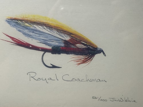 Jim Wilshire Signed & Numbered Ltd Fly Fishing Print "Royal Coachman" Framed - Picture 3 of 6