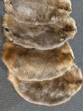 Beaver Fur, Soft Tanned Pelt, Slight Dmg,S-M Size, Crafts, Leather, Sewing, Hoop