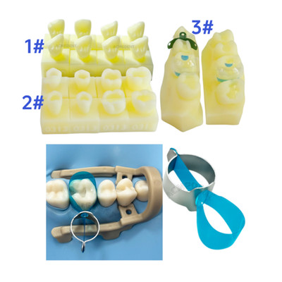 Dental Caries Decay Teeth Model Resin Restore Tools Matrix Bands Fixing Device