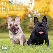 French Bulldog Wall Calendar 2026 | 12" X 24" Open | Giftable Dog Calendar 2026