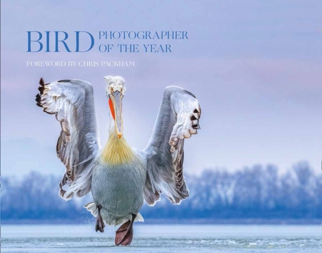 Bird Photographer of the Year by Bird Photographer of the Year (Hardback Book)