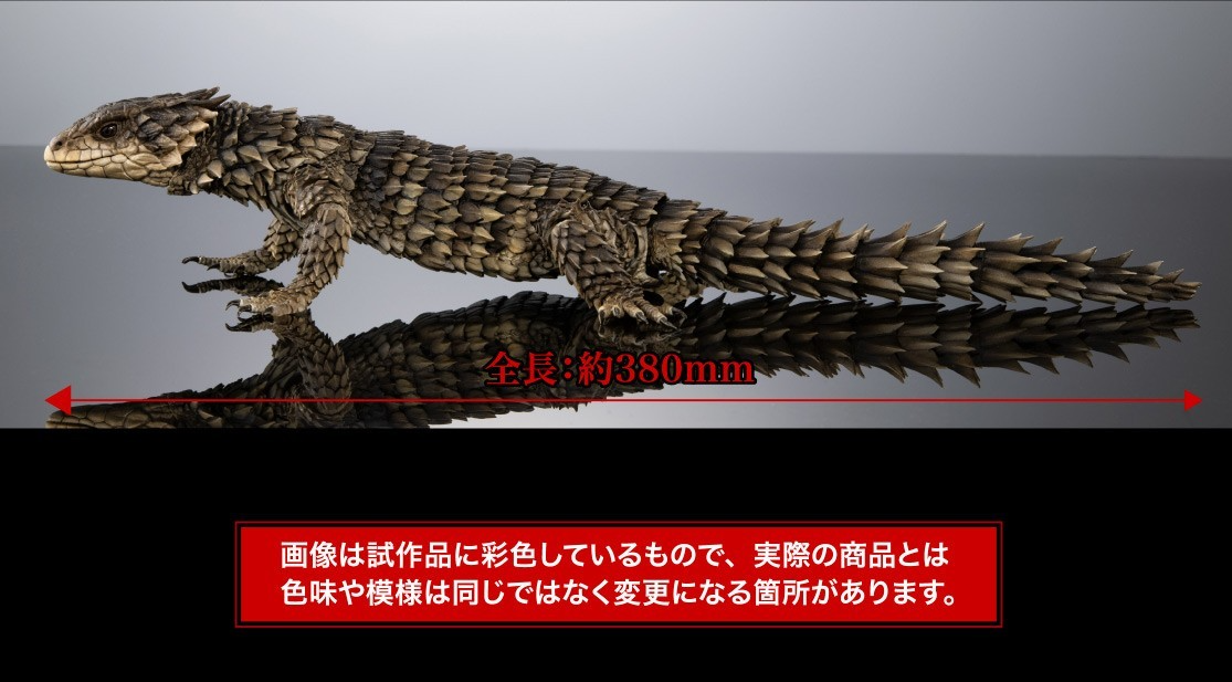 The Diversity of Life on Earth Ultimate Giant Girdled Lizard