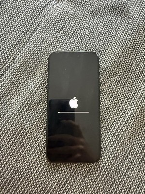 Apple iPhone 16 Pro Max 256GB Titan Schwarz