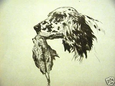 Diana Thorne 1935 RETRIEVER Dog with Bird Print Matted