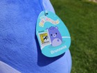 Squishmallow 12″ Brunswick the Blueberry Bear SDCC 2024 Exclusive In Hand! — photo 7