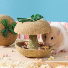Hamster food snacks feed apple teething stick 1 pcs