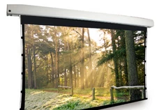 Dragonfly motorized projector screen Model DFM-TAB-100-HC