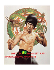 LOTTO DI 15 MANIFESTI bruce lee arti marziali kung fu oriente wang yu chen