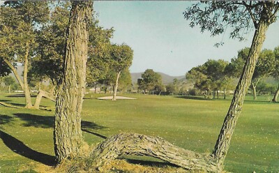 Vintage California Chrome Postcard Cottonwood Championship Golf El Cajon Map