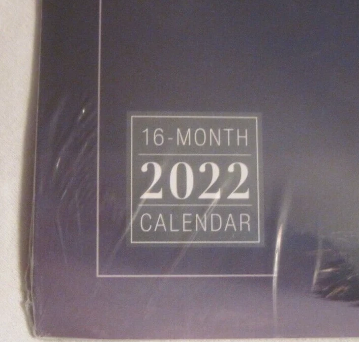 Glamour Chicks 2022 Wall Calendar Chickens 16 Month Sellers Publishing NEW  | eBay