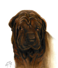 Original Oil Portrait Painting SHAR PEI Black Puppy Dog Artist Signed Artwork