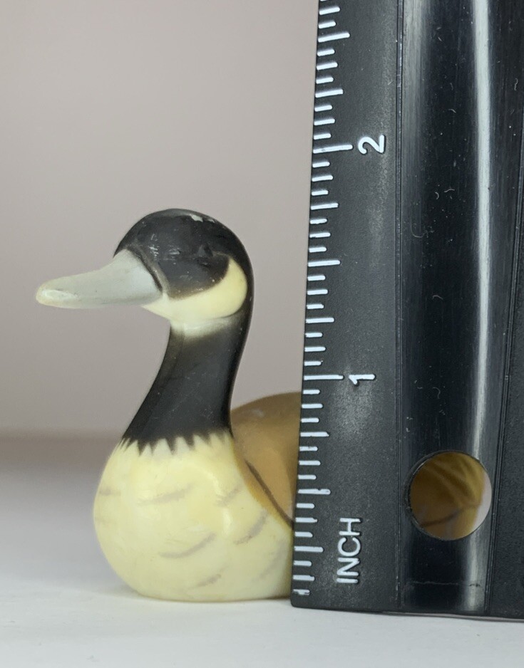 Foto 10 di 10