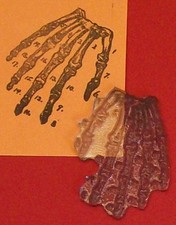 Anatomical Hand rubber stamp by Amazing Arts