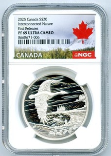 2025 $20 CANADA 1OZ SILVER FLYING GOOSE NGC PF69 PROOF INTERCONNECTED NATURE FR
