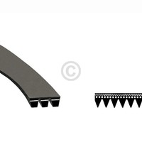Keilrippenriemen 1321 Pj 6 Wie Blomberg 000.26.045.00 FüR Waschmaschine