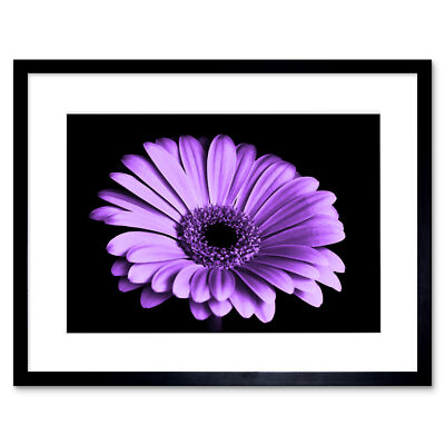 Gerahmter Wandkunstdruck Nahaufnahme lila Blume 12 x 16 Zoll