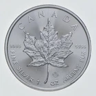 2021 Canadian Silver Maple Leaf 1 oz — photo from another recent sale