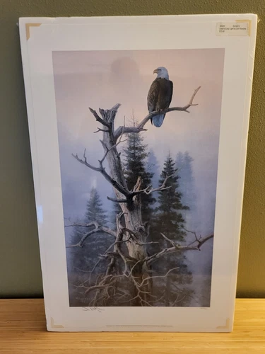 DAWN'S EARLY LIGHT BY DON KLOETZKE SIGNED AND NUMBERED EAGLE WILDLIFE PRINT