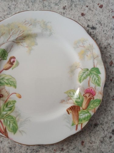 Royal Albert. Jack-In-A-Pulpit. Small Plate. (16cm). Made In England. - Bild 4 von 5