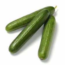 Organic Green Finger Cucumber - Cucumis sativas