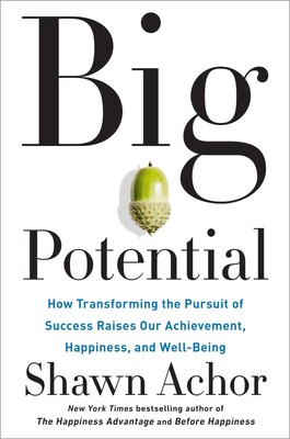 Big Potential: How Transforming the Pursuit of Success Raises Our Achievemen...