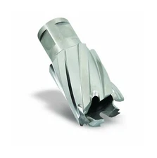 Hougen 12226 13/16-Inch Diameter Rotabroach 2-Inch D.O.C.