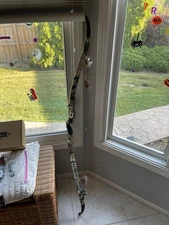 Hoyt Satori Recurve 17 Inch Riser and Medium Limbs 50lbs